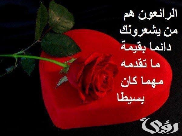 الرد على كلمات جميلة 
