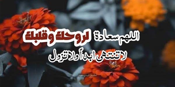 ما هو الرد على كلمات جميلة 1 images 2023 01 02T220031.770