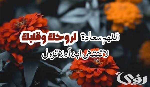 ما هو الرد على كلمات جميلة