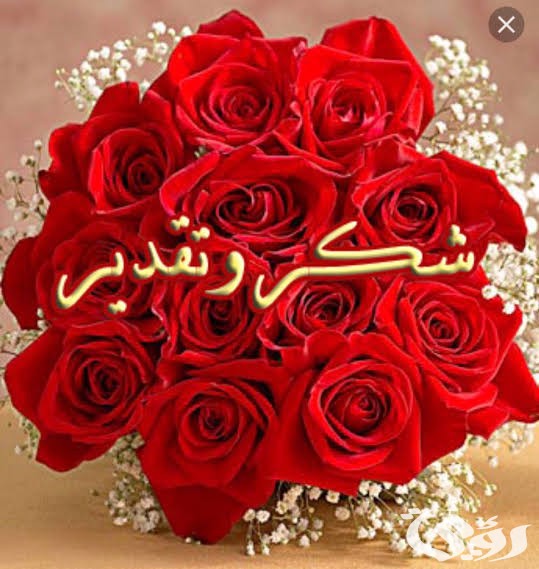 ما هو الرد على عبارات الشكر
