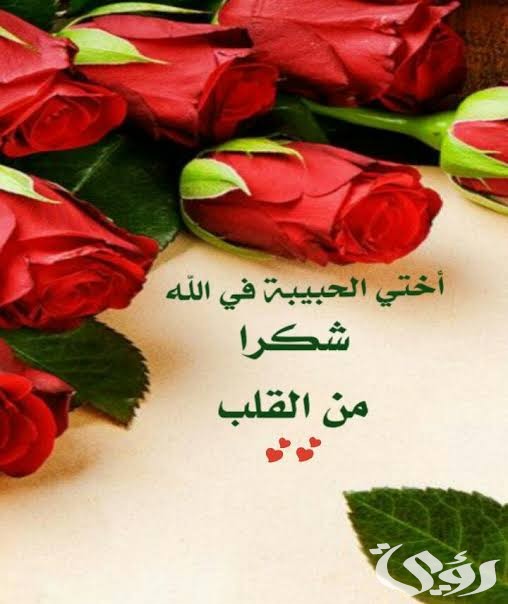 الرد على عبارات الشكر