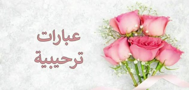 ما هو الرد على عبارات الترحيب 1 images 2023 01 05T211118.700