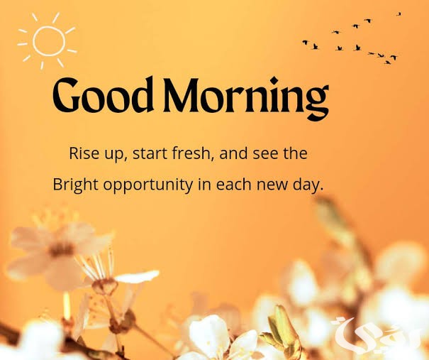 ما هو الرد على جود مورنينج good morning