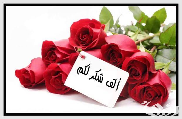 ما هو الرد على عبارات التهنئة