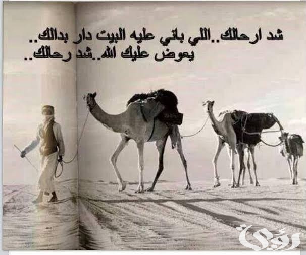 الرد على كلمات البدو 