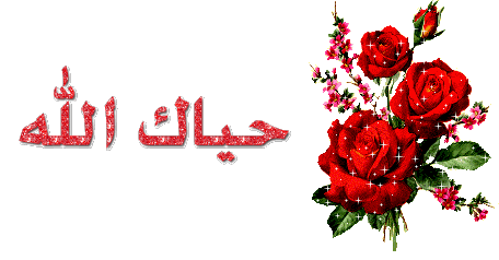 الرد على حياك الله 