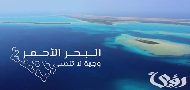 بحث عن البحر الأحمر
