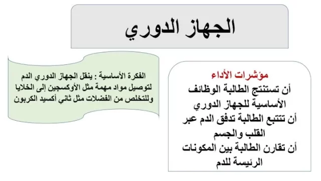 بحث عن الجهاز الدوري