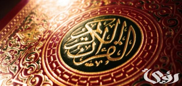 بحث عن الحذف والإثبات