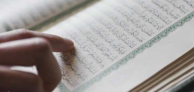بحث عن الحذف والإثبات 1 بحث عن الحذف والإثبات