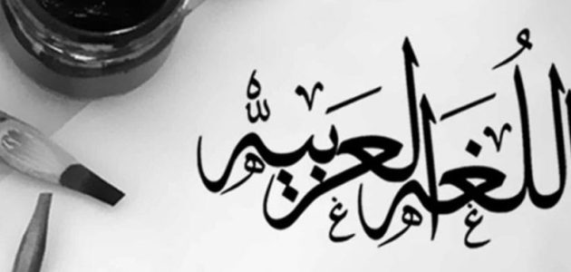 بحث عن الحذف والزيادة 1 بحث عن الحذف والزيادة