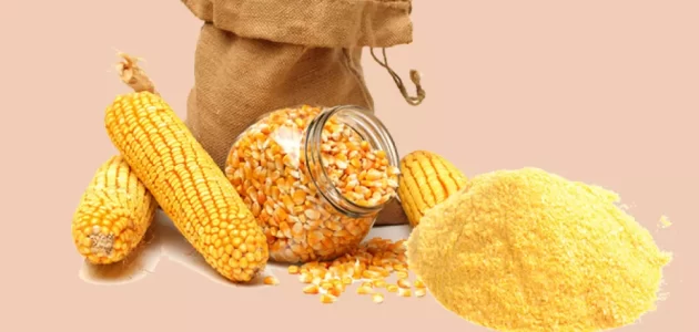بحث عن الذرة 1 بحث عن الذرة