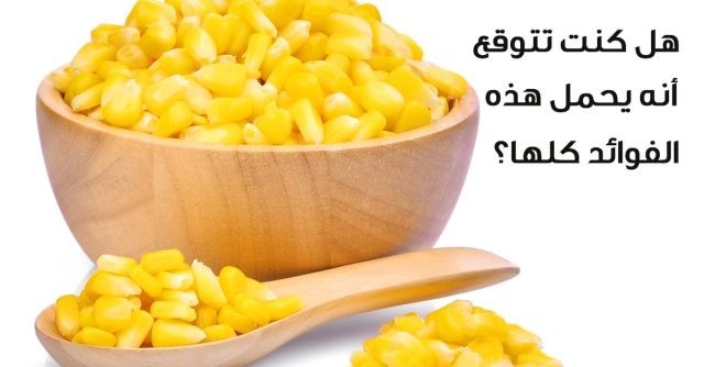 بحث عن الذرة الشامية