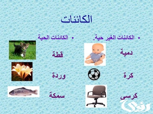 بحث عن الكائنات الحية