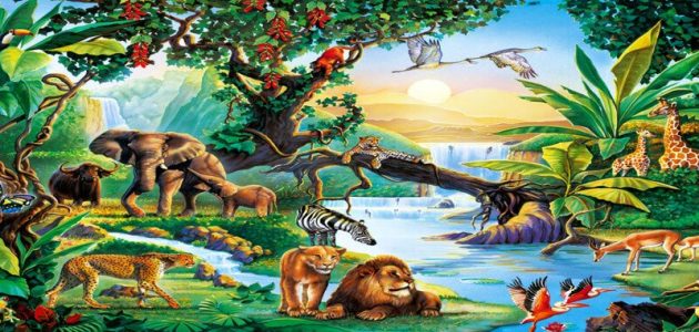 بحث عن الكائنات الحية 1 بحث عن الكائنات الحية