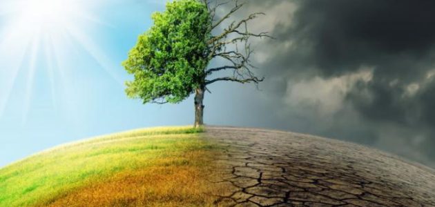 بحث عن المناخ 1 بحث عن المناخ
