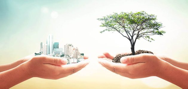 بحث عن النظرية الايكولوجية 1 بحث عن النظرية الايكولوجية