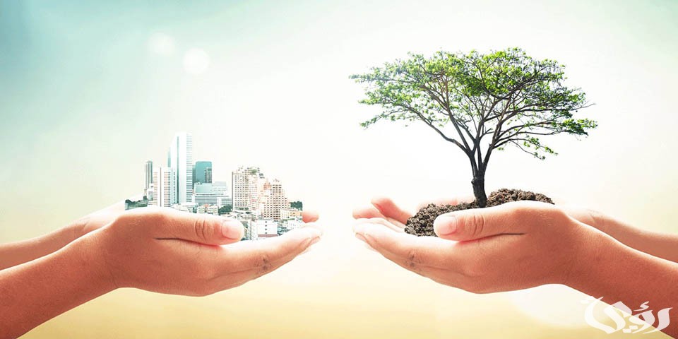 بحث عن النظرية الايكولوجية