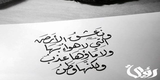 بحث عن الوطن