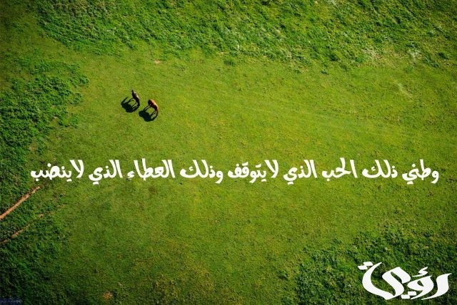 بحث عن الوطن