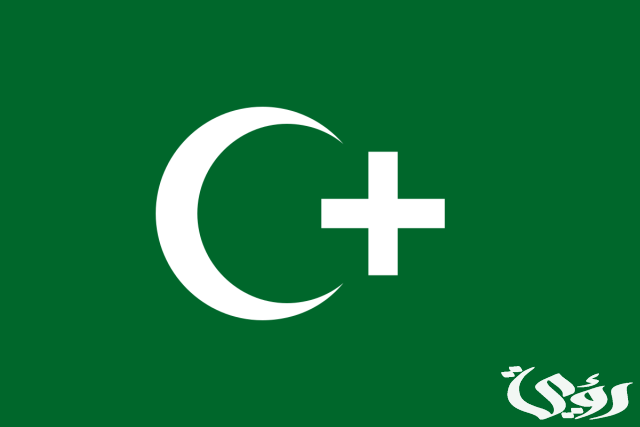 بحث عن ثورة 1919