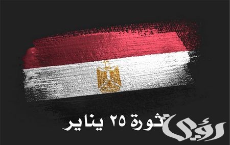 بحث عن ثورة 25 يناير