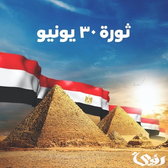 بحث عن ثورة 30 يونيو