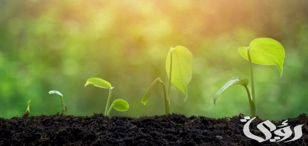 بحث عن خصائص البيئة الزراعية 5 بحث عن خصائص البيئة الزراعية