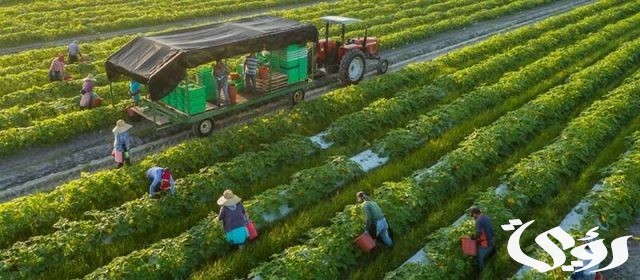 بحث عن خصائص البيئة الزراعية