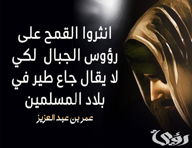 بحث عن عمر بن عبد العزيز