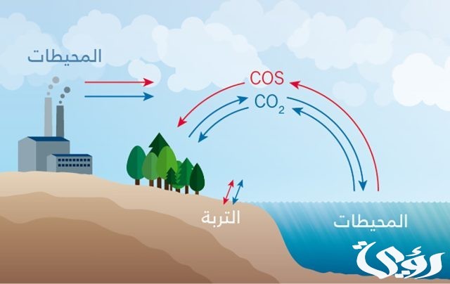 بحث عن غاز ثاني الكربون