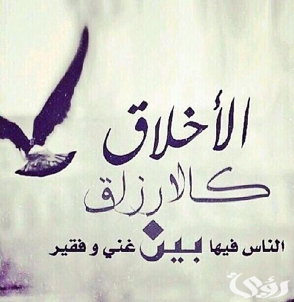 بحث عن قوم النفس بالأخلاق تستقم