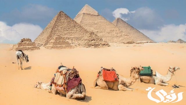 بحث عن هرم خوفو