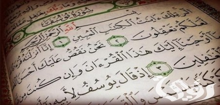 بحث عن يوسف الصديق