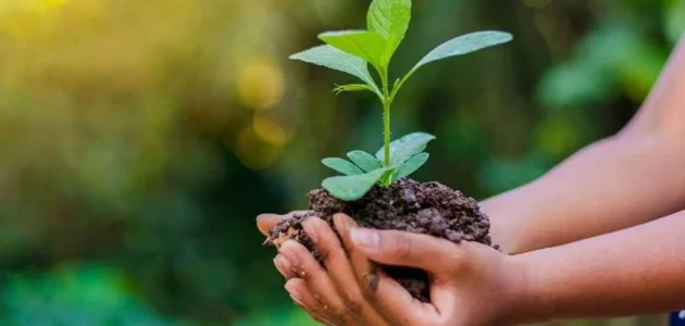 بحث عن يوم البيئة العالمي 1 بحث عن يوم البيئة العالمي