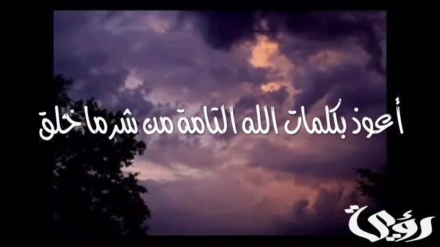 تفسير أعوذ بكلمات الله التامات من شر ما خلق في المنام
