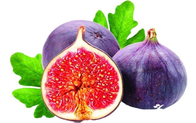 تفسير حلم أكل التين في المنام