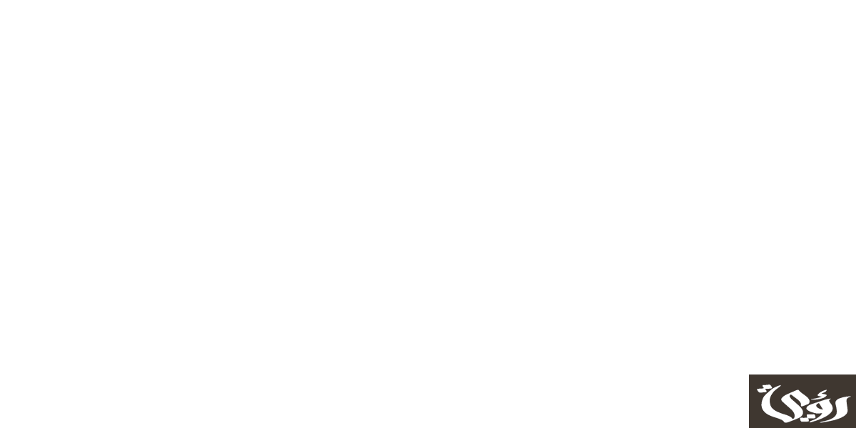 نموذج سيرة ذاتية جاهز