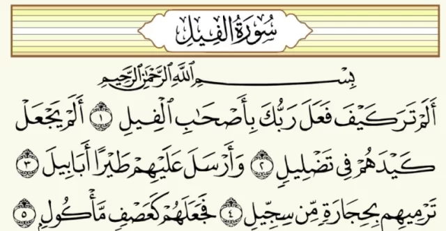 ما هي السور التي سميت بأسماء الحيوانات