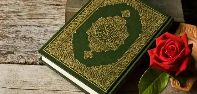 ما هي السورة التي تسمى ويطلق عليها سنام القرآن