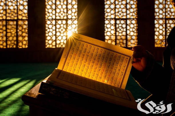 ما هي السورة التي حث النساء على تعلمها