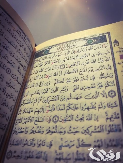 ما هي السورة التي فضحت المنافقين