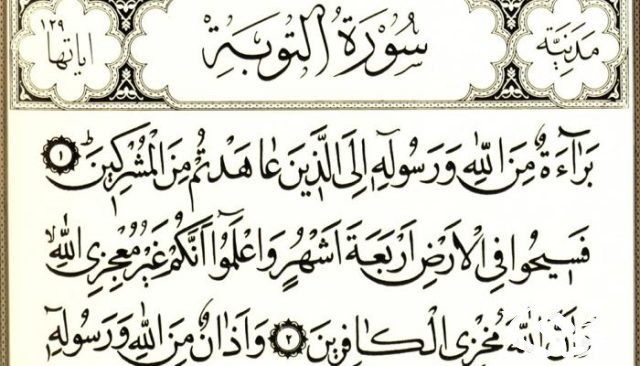 ما هي السورة التي فضحت المنافقين