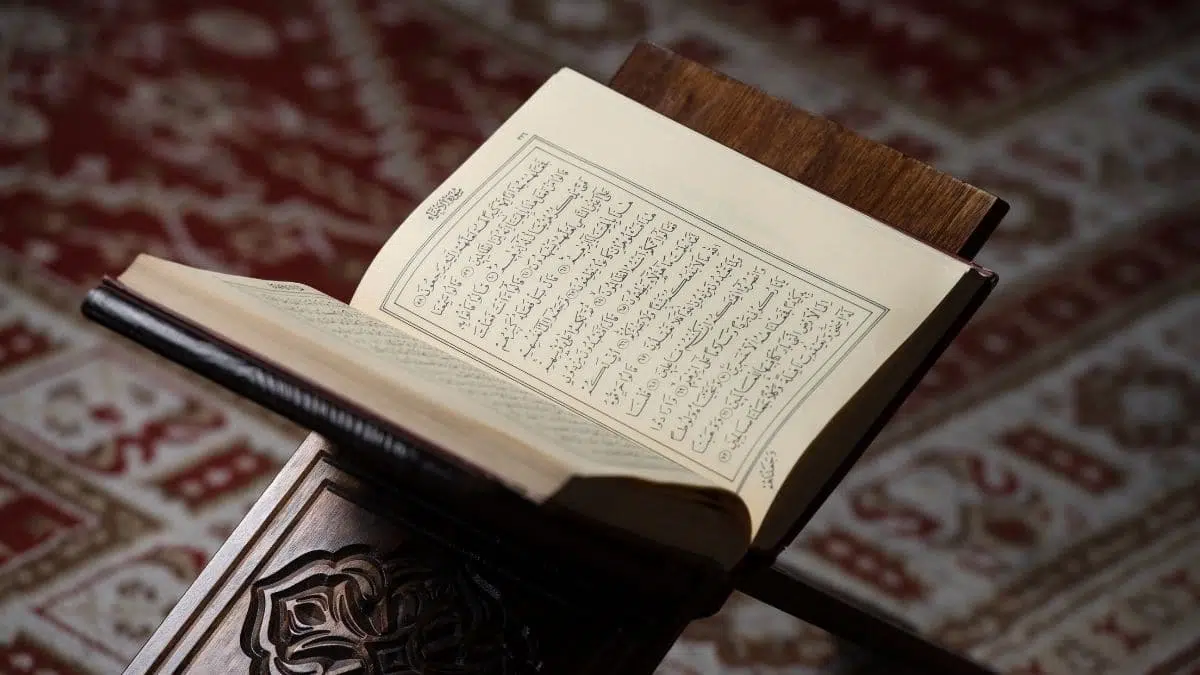 ما هي السورة التي فضحت المنافقين
