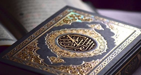 ما هي السورة التي لا يوجد فيها حرف الفاء 1 ما هي السورة التي لا يوجد فيها حرف الفاء