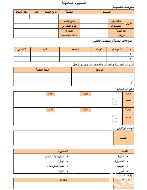 نموذج سيرة ذاتية