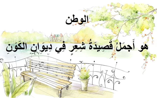 وضعية ادماجية عن الوطن