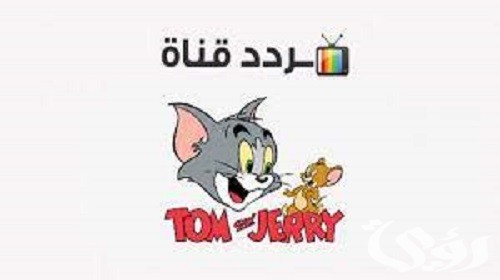 القط بيجري ورا الفار.. تردد قناة توم وجيري الجديد TOM and JERRY 2026 5 القط بيجري ورا الفار.. تردد قناة توم وجيري الجديد TOM and JERRY 2026
