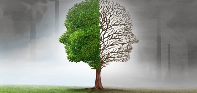 اذاعة مدرسية عن التغيرات المناخية 1 اذاعة مدرسية عن التغيرات المناخية