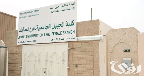 كم نسب قبول كلية الجبيل الجامعية 1447